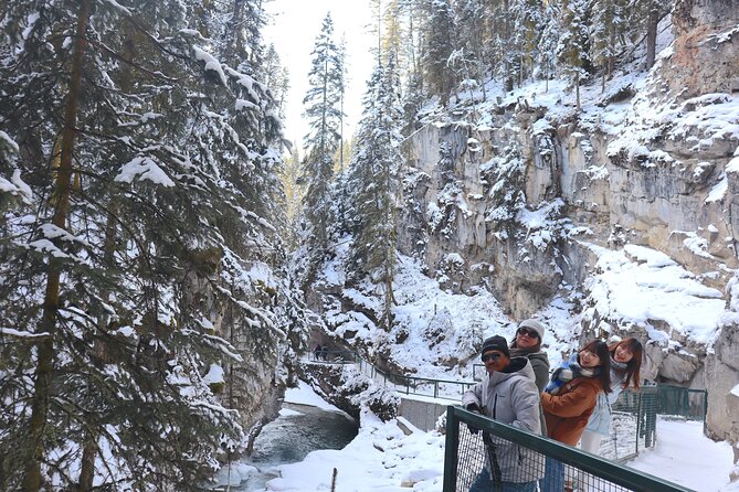 Explore Banff National Park with Our Premium Day Tour - Bow Falls and the seasonal Banff viewpoints