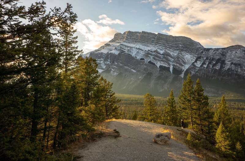 From Banff: Banff Wildlife & Scenic Highlights Premium Tour - Key points to know before booking