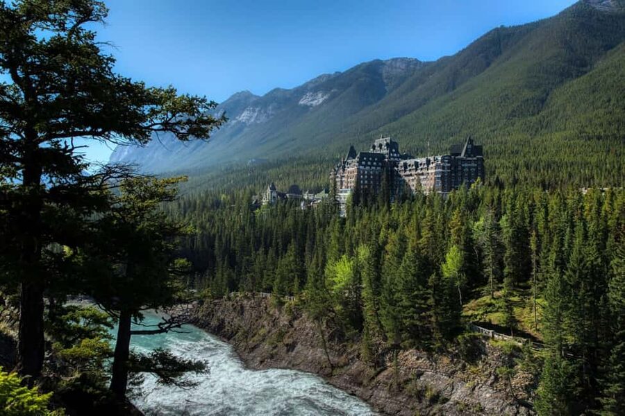 From Banff: Banff Wildlife & Scenic Highlights Premium Tour - The wildlife search: what you may actually see
