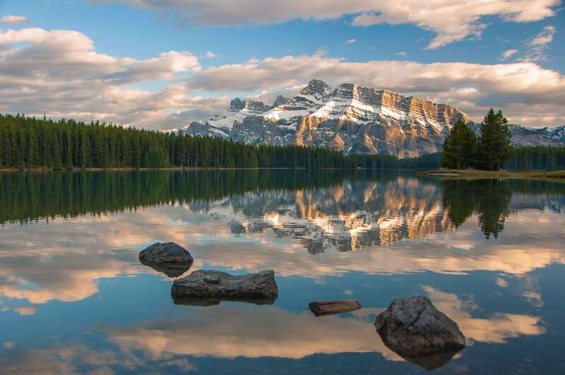 From Banff: Banff Wildlife & Scenic Highlights Premium Tour - Guides make or break the evening