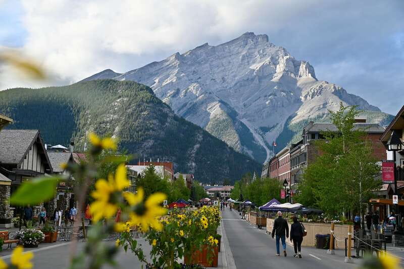 From Banff: Banff Wildlife & Scenic Highlights Premium Tour - Small-group transport with a useful view