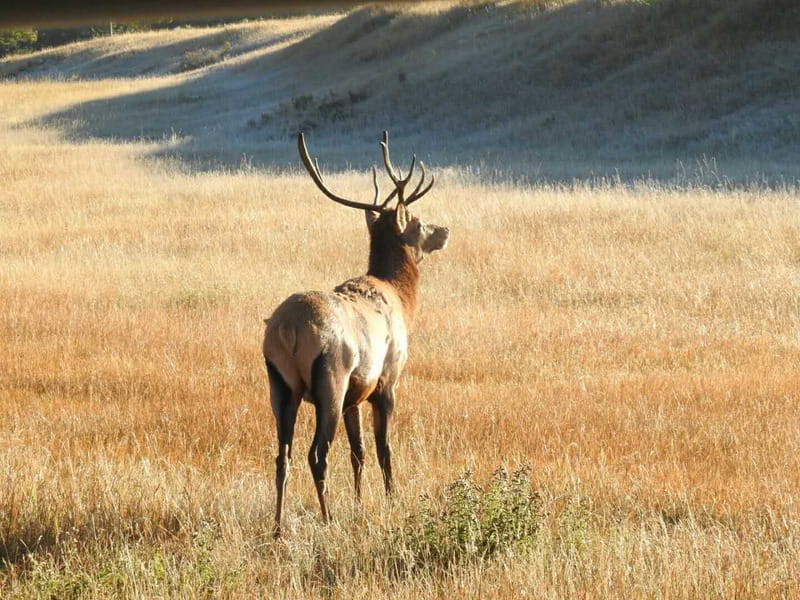 From Banff/Canmore: Deep 1 Day Tour in Banff National Park - Key points to know before booking