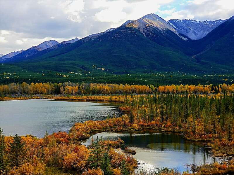 From Banff/Canmore: Deep 1 Day Tour in Banff National Park - What the guide adds to the day