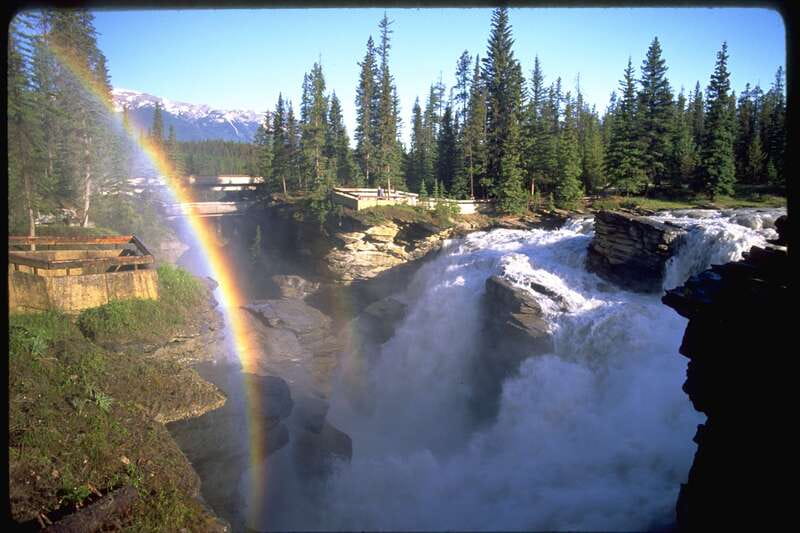 From Banff/Lake Louise: 1-Way Sightseeing Tour to Jasper - Wildlife watching requires patience