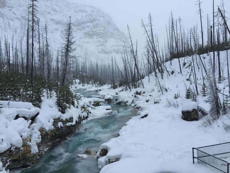 From Banff: Marble & Johnston Canyon Icewalk Combo - Johnston Canyon: catwalks, blue ice, and Lower Falls