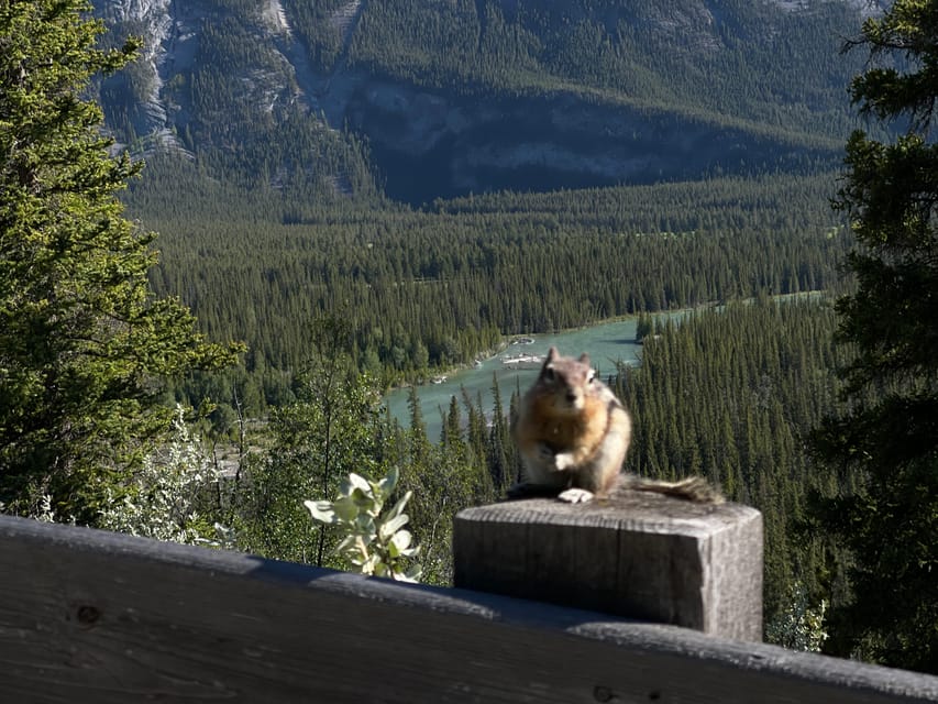From Banff: Moraine Lake and Lake Louise Half Day Tour - Price, comfort, and practical value at $77