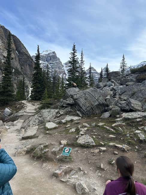 From Calgary/Banff: Moraine Lake & Lake Louise Half-Day Tour - Cost, transport, and practical value
