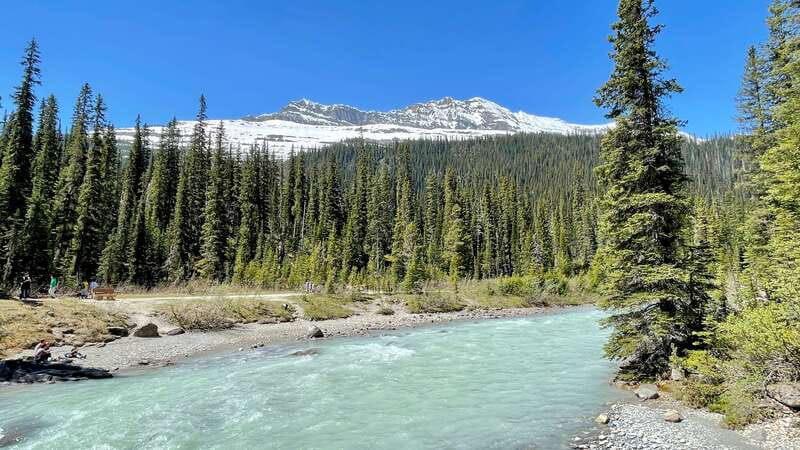 From Calgary: Banff & Yoho National Parks Private Day Tour - Takakkaw Falls, a powerful final stop