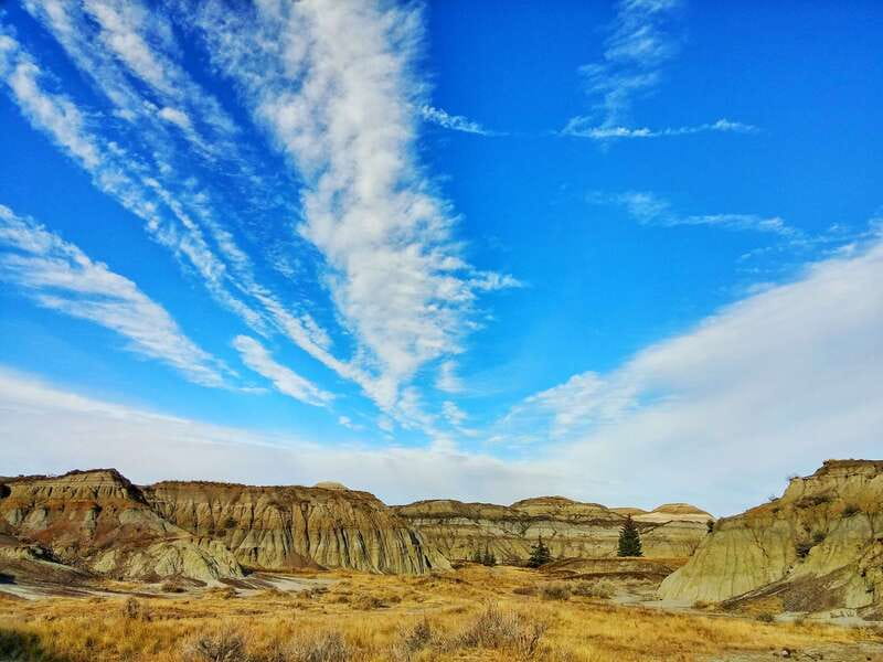 From Calgary: Canadian Badlands Private Geological Tour - Drumheller’s roadside symbols and small-town pause
