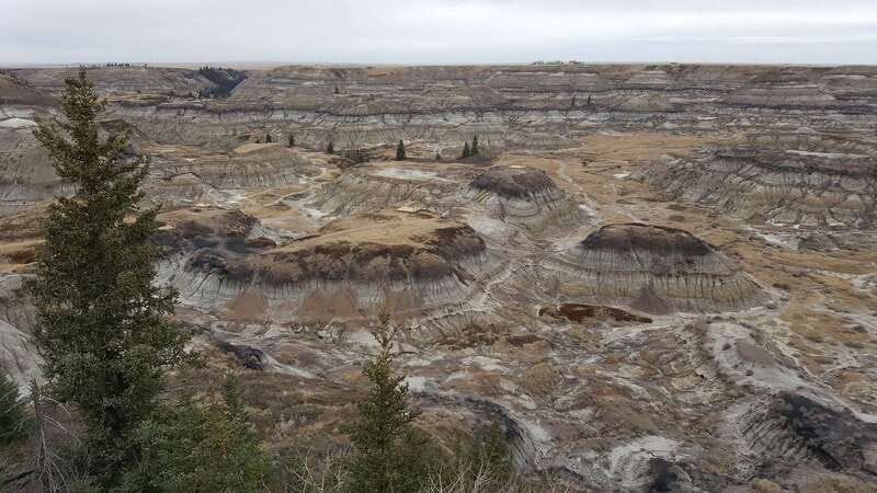 From Calgary: Canadian Badlands Private Geological Tour - Who should book this Badlands day?