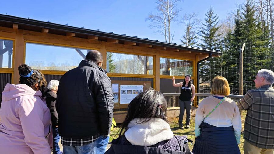From Calgary to Banff: Day Trip with Wolfdog Sanctuary Visit - Why the wolfdog sanctuary changes the day