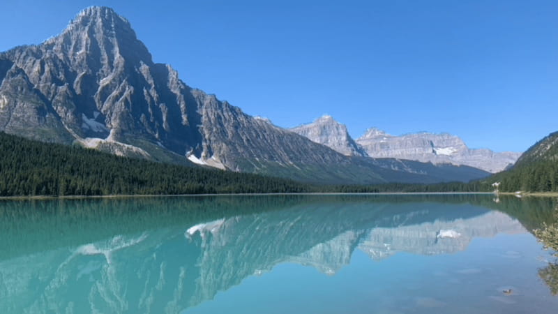 From Canmore/Banff: Icefields Parkway Experience - Peyto Lake is the famous viewpoint for a reason
