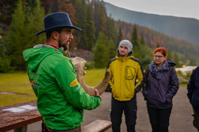 From Jasper: Jasper National Park Wildlife Discovery Tour - Key points to know before booking