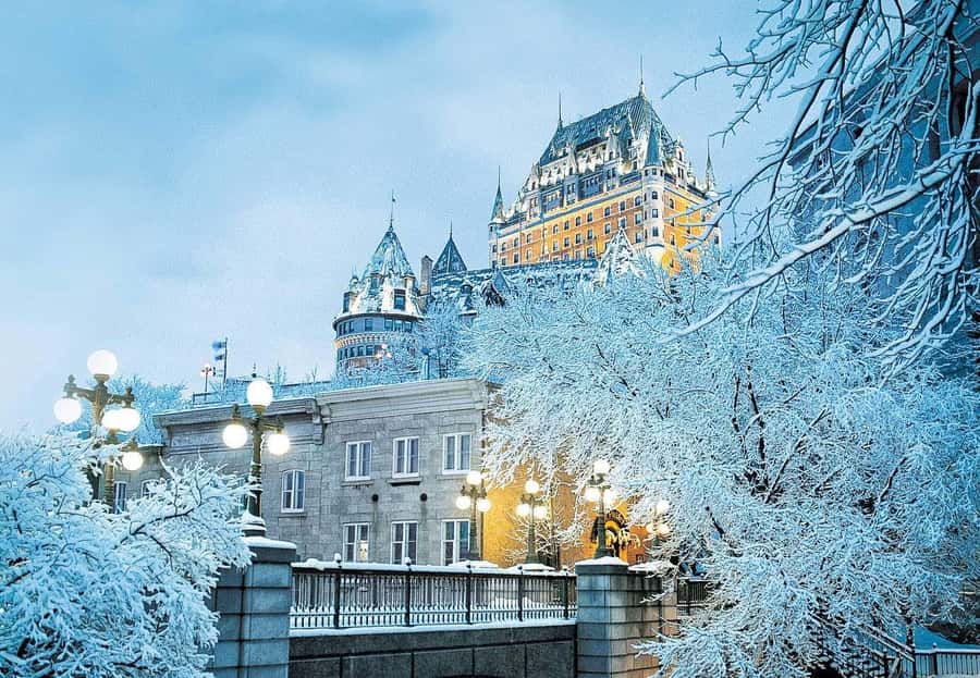 From Montreal: Full-Day Tour of Quebec City with Cruise - Seeing Quebec City from the St. Lawrence