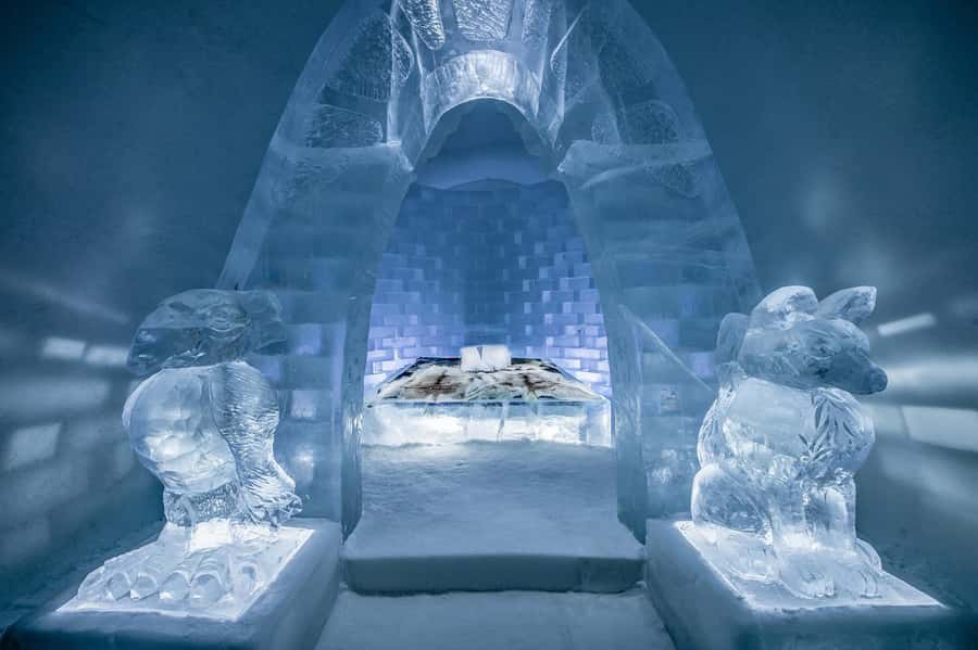 From Montreal: Full-Day Tour of Quebec City with Cruise - How to handle lunch and free time