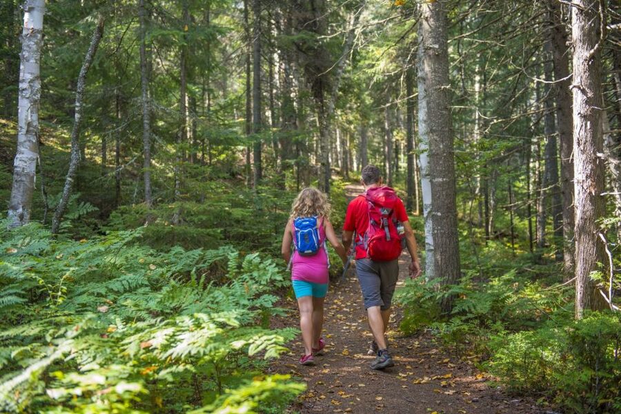 From Montreal: Mont-Tremblant National Park Hiking Day Trip - The return drive to Montreal