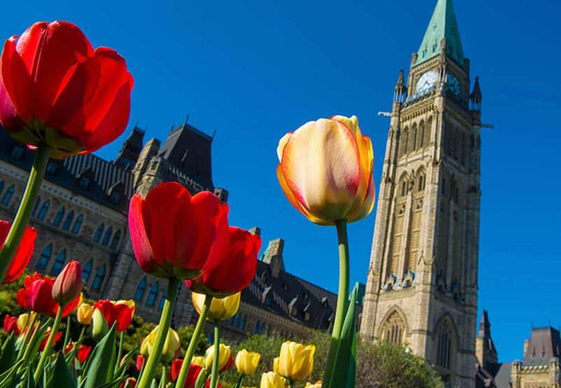 From Montreal: Private Ottawa Full Day Tour - Parliament Hill, the Senate, and the House of Commons