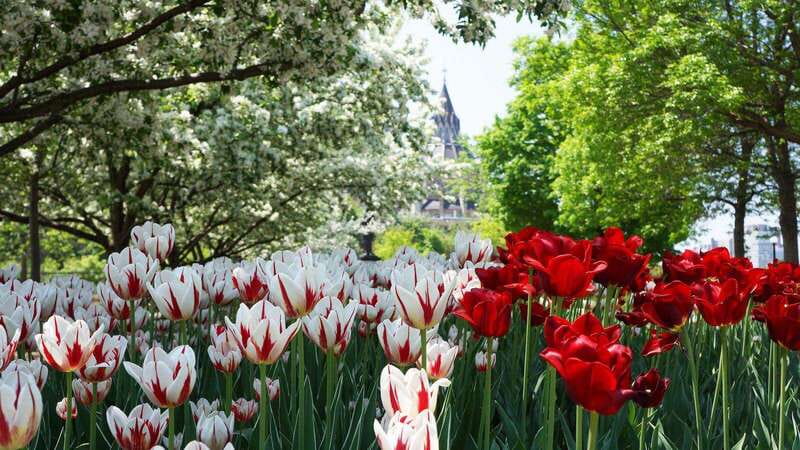 From Montreal: Private Ottawa Full Day Tour - Six hours to see Ottawa your way