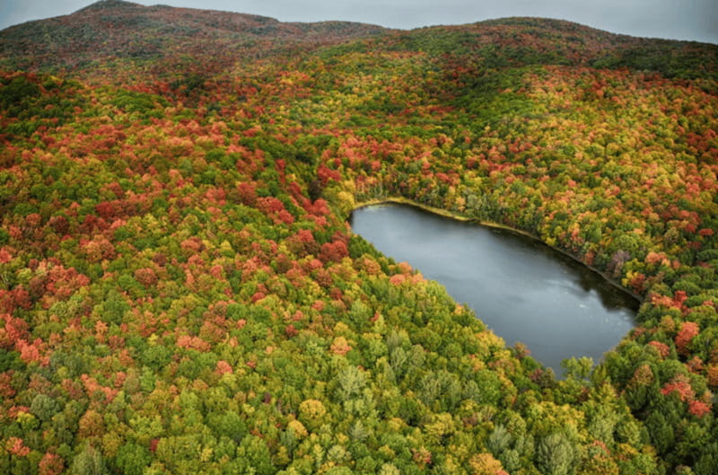From Montreal: Scenic Montérégie Helicopter Tour - Weight, Health, Weather, and Access Rules