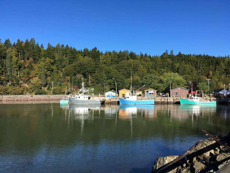 From Saint John: Bay of Fundy Bus Trip for Cruise Passengers - The Bay of Fundy section is the real main event