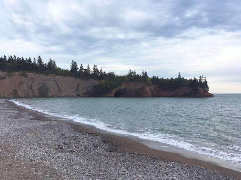 From Saint John: Bay of Fundy Bus Trip for Cruise Passengers - What the guides add to the day