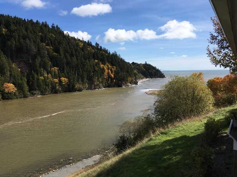 From Saint John: Bay of Fundy Bus Trip for Cruise Passengers - The bus matters more than the low price suggests