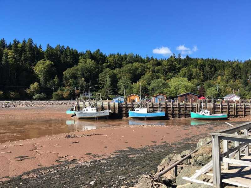 From Saint John: Bay of Fundy Bus Trip for Cruise Passengers - Timing, weather, and what to pack