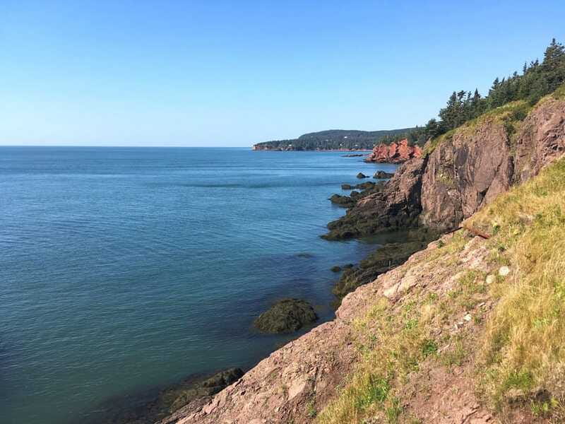 From Saint John: Bay of Fundy Bus Trip for Cruise Passengers - Who will enjoy this tour most