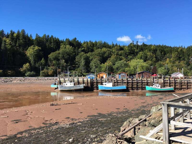 From Saint John: Bay of Fundy Bus Trip for Cruise Passengers - Carleton Martello Tower offers another layer of history