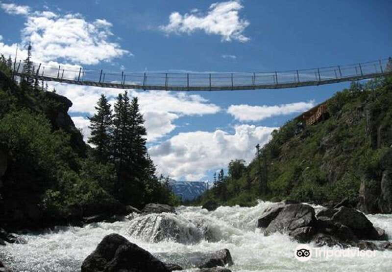 From Skagway: White Pass and Yukon Suspension Bridge Tour - Leaving Skagway on the Gold Rush road