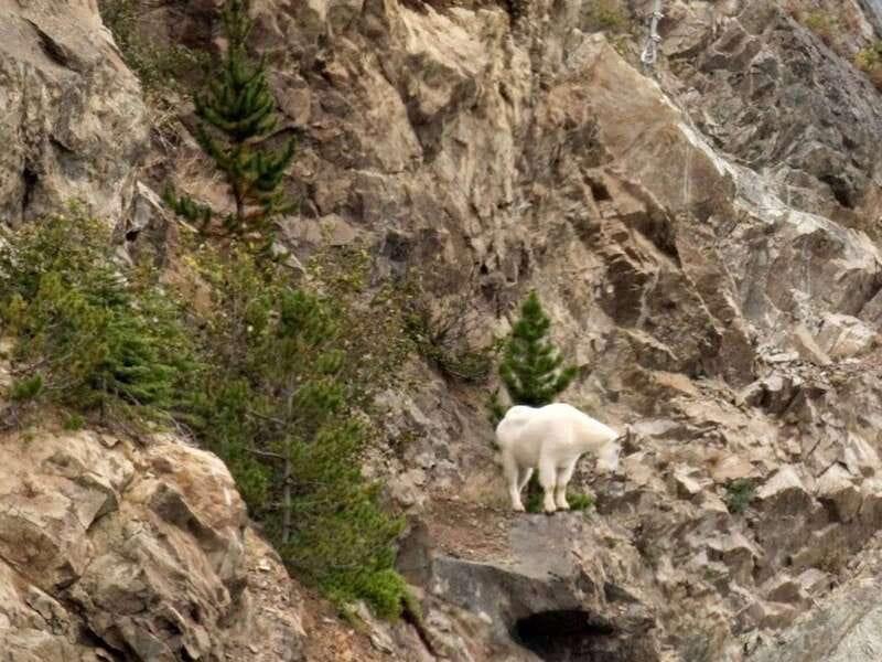 From Skagway: White Pass and Yukon Suspension Bridge Tour - Is $132 a fair price?