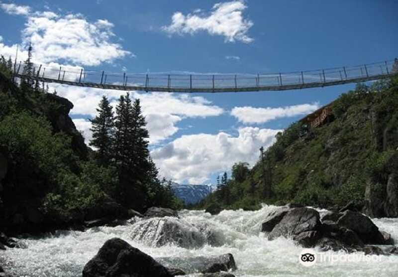 From Skagway: White Pass and Yukon Suspension Bridge Tour - Timing, comfort, and practical limits