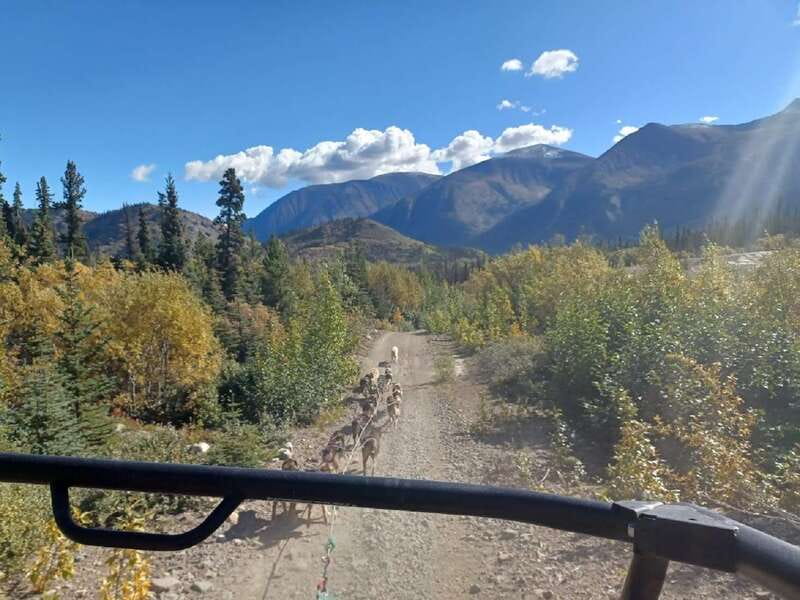 From Skagway: Yukon Sled Dog Mushing & White Pass Combo - White Pass Summit and the Tormented Valley