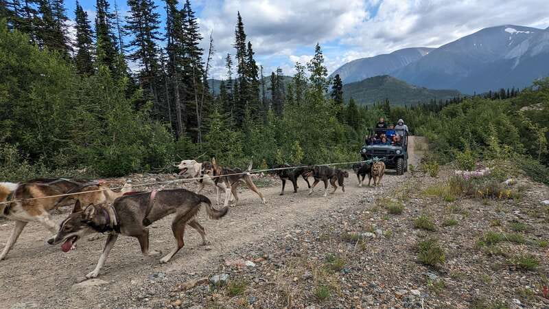 From Skagway: Yukon Sled Dog Mushing & White Pass Combo - The Fraser and Yukon border crossing