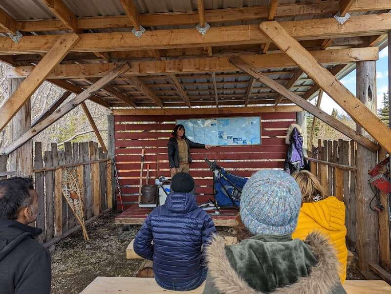 From Skagway: Yukon Sled Dog Mushing & White Pass Combo - Tutshi Dog Sledding Camp and the summer ride
