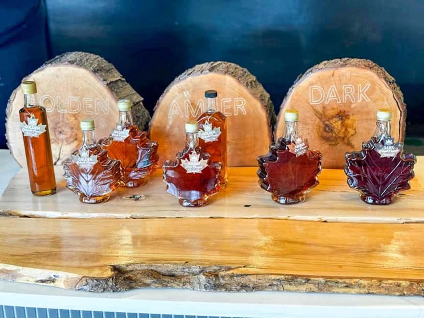 From Toronto: Niagara Falls Guided Day Tour with Boat Cruise - Maple Leaf Place and the maple tasting