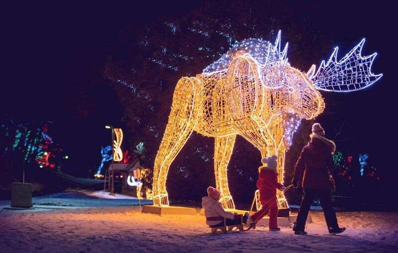 From Toronto: Winter Festival of Lights Niagara Falls Tour - Key points to know before booking