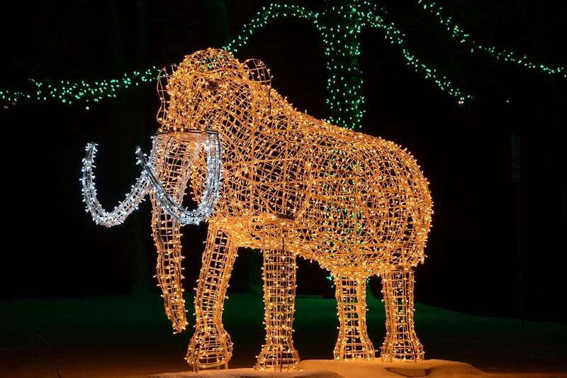 From Toronto: Winter Festival of Lights Niagara Falls Tour - Guide style, group comfort, and timing