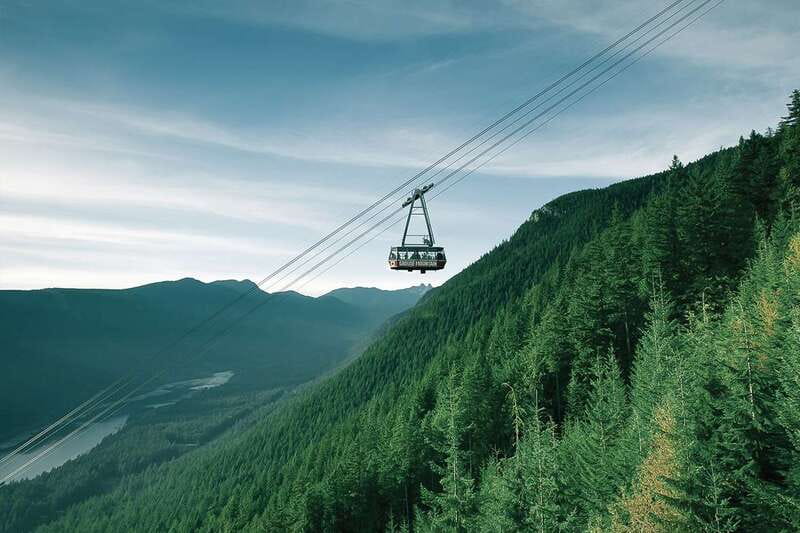 From Vancouver: Capilano Suspension Bridge & Grouse Mountain - Salmon at the Capilano River Hatchery