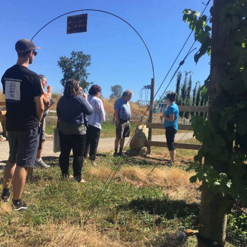 From Vancouver: Fraser Valley Wine Tour with Local Tastings - Who will enjoy this tour most