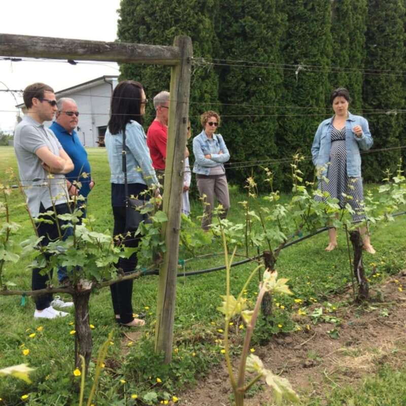 From Vancouver: Fraser Valley Wine Tour with Local Tastings - Timing and booking flexibility