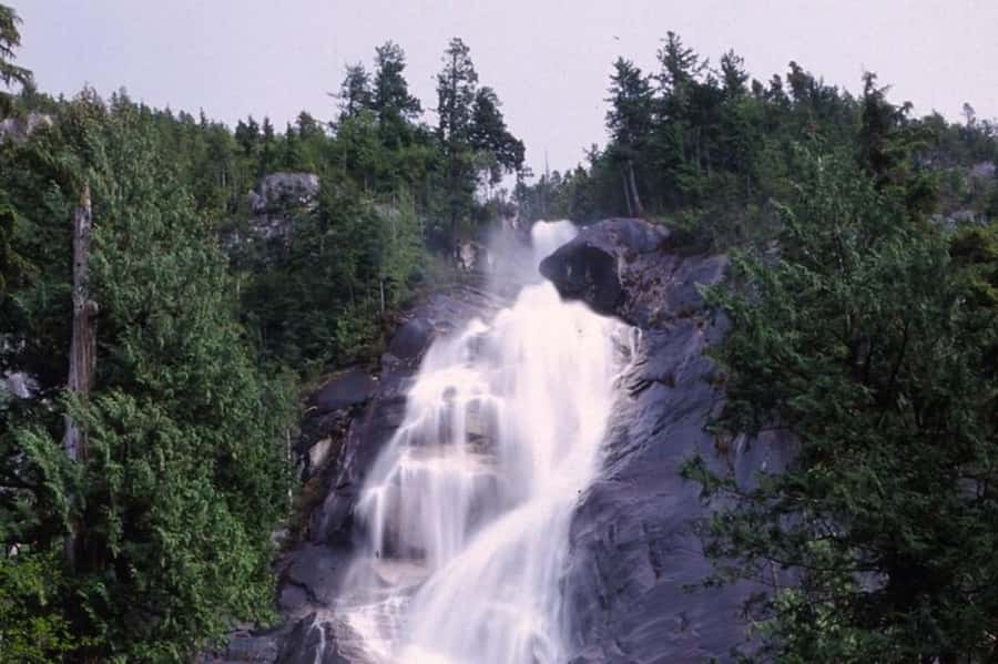 From Vancouver: Whistler Tour with Shannon Falls and Gondola - Who will get the most from this Whistler day trip?