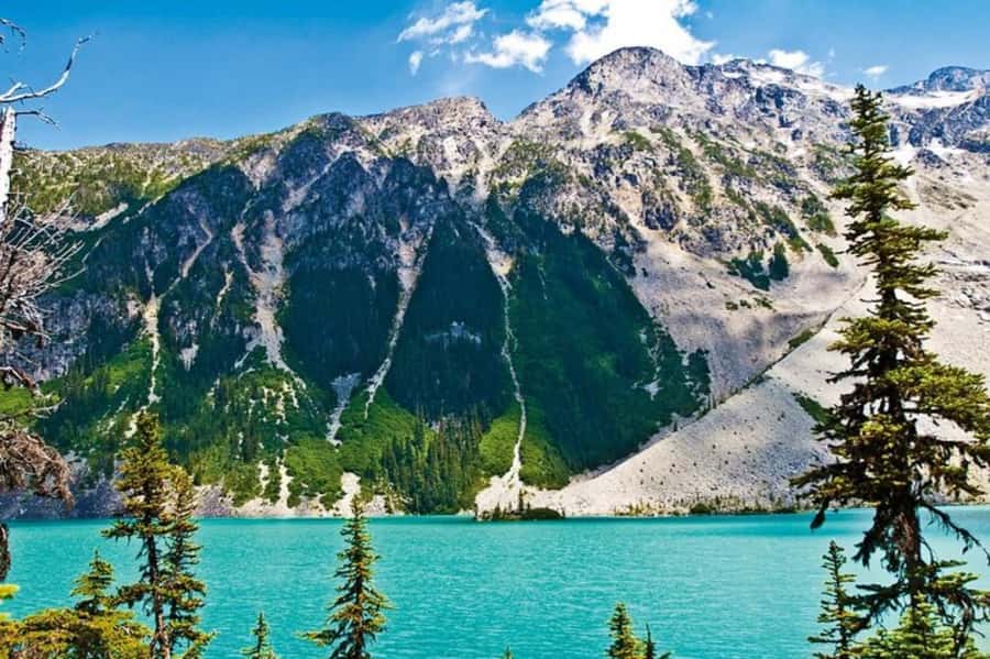 From Vancouver: Whistler Tour with Shannon Falls and Gondola - Shannon Falls gives you a quick taste of British Columbia