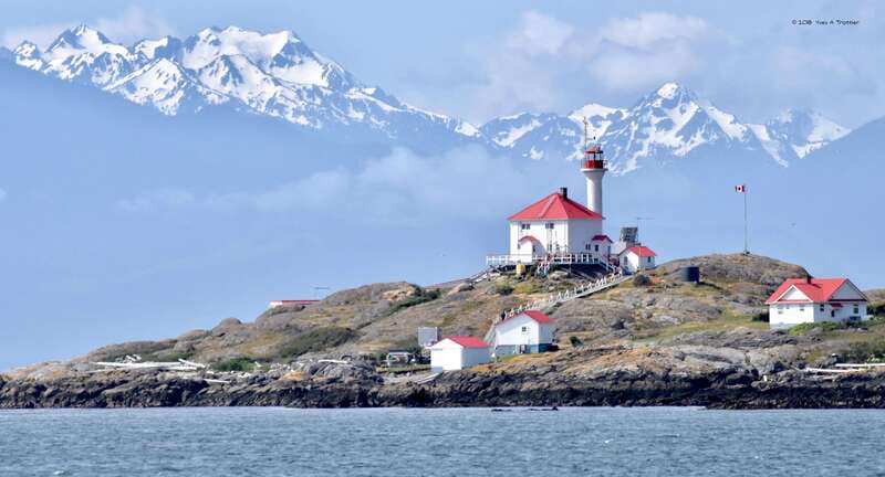 From Victoria: Whale Watching Tour by Zodiac Boat - Should you book the Victoria Zodiac whale tour?