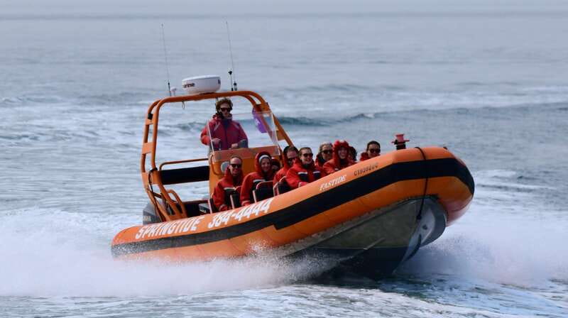 From Victoria: Whale Watching Tour by Zodiac Boat - The Zodiac ride is half the experience