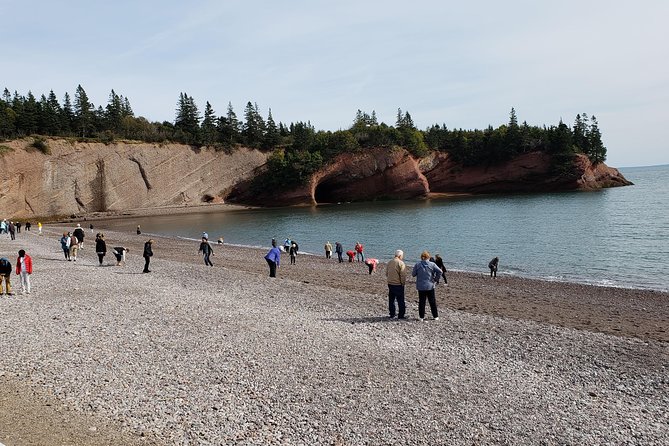 Fundy Coast to Fundy Shore Tour - The guide matters more than the script