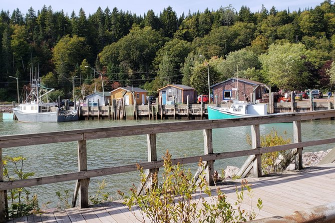 Fundy Coast to Fundy Shore Tour - Is $96.23 good value?