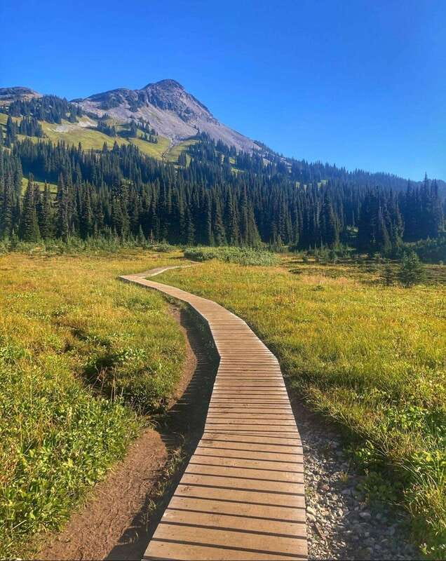 Garibaldi Park/ Panorama Ridge/ Hiking Day Trip - Why Panorama Ridge earns a full day