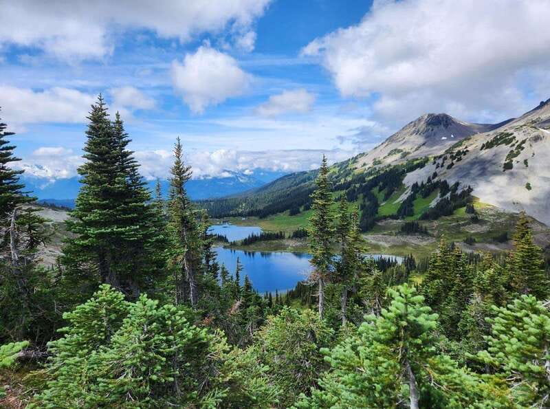 Garibaldi Park/ Panorama Ridge/ Hiking Day Trip - Forest trails and the first lake glimpses