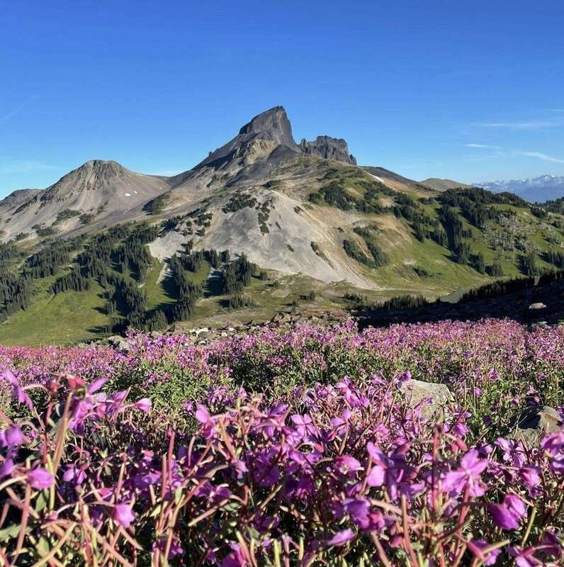 Garibaldi Park/ Panorama Ridge/ Hiking Day Trip - The return trail and changing views